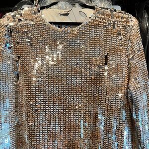 Zara Stretch Knit Sequin Long Sleeve Top - NWT